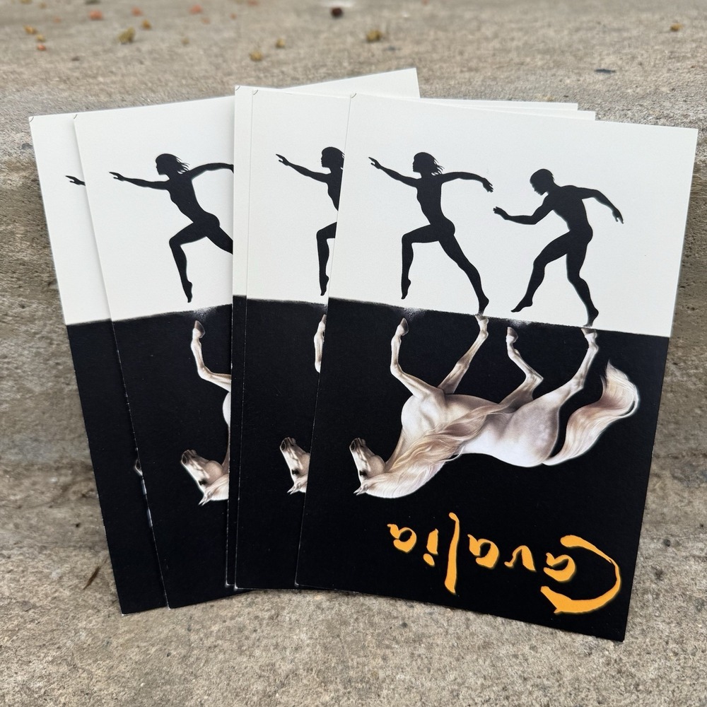 Cavalia Set Of 5 Postcards Equestrian Performance Act